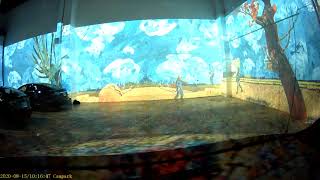 Immersive Vincent Van Gogh Exhibit, Toronto,15.08.2020