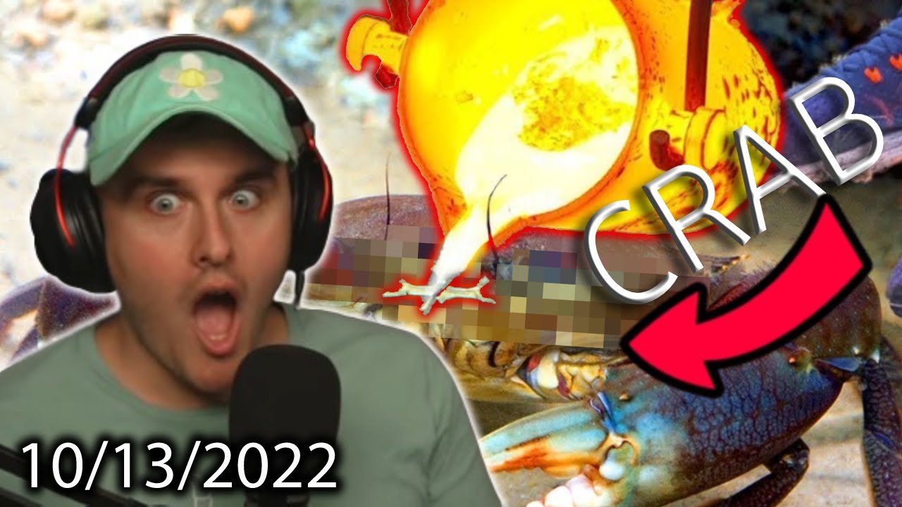 Youll Never Guess Whats In This Woesenpai Leak Youll Never Guess Whats In This Woesenpai Leak