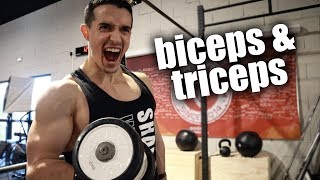 AVOIR DES GROS BRAS RAPIDEMENT ! (biceps & triceps exercices)