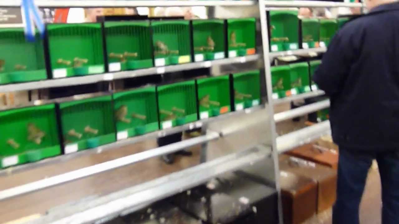 National British Bird and Mule Club Show (part 2}