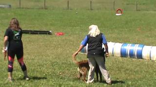 Zappa Mondioring Brevet 97100 Pts