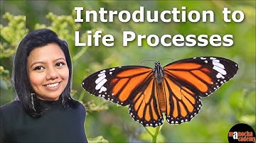 Life Processes Class 10 Science Biology