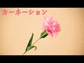 折り紙『カーネーション』の作り方＜母の日ギフト＞ ~立体の花おりがみ~｜3D Paper Carnation /DIY-Tutorial