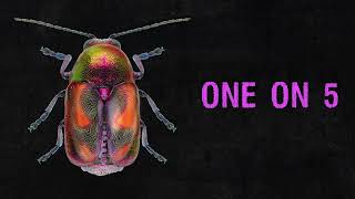 Rico Nasty - One On 5 (feat. Bibi Bourelly) (Official Audio)
