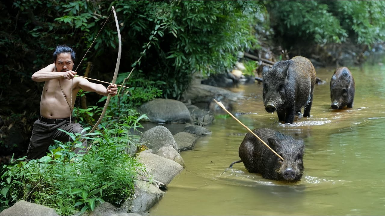 Intruders in the Night - Facing Off Against a Herd of Wild Boars/ Panorama of the Hunt, Part 2