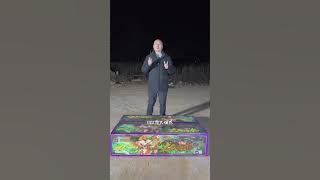 1168 Shots Extra Large Fireworks Cake 2024