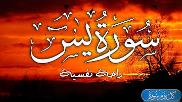 سورة يس بصوت جميل | قرآن كريم هادئ وجميل جميل جدا 🎧 تلاوة هادئة راحة نفسية لا توصف