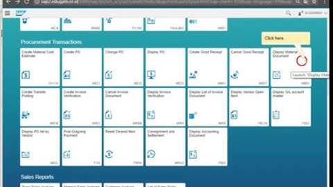 Display Material Document by SAP Screen Personas design Fiori