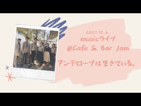 【12.4.2021. musicライブ出演】アンテロープは生きている。