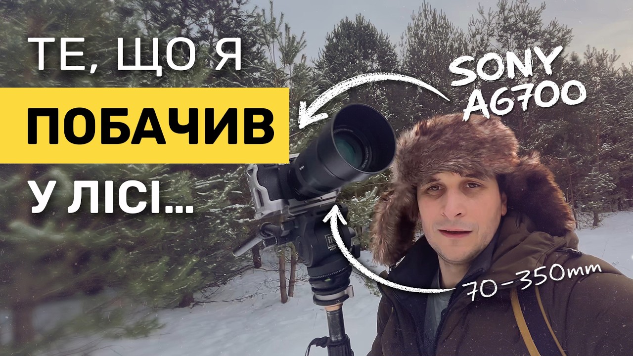 Прогулянка вихідного дня - ліс, який я не впізнав. Sony a6700 + Sony E 70-350 mm