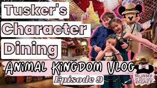 Animal Kingdom Tuskers Character Dining Shopping At Disney Springs Disney World Vlog Episode 9