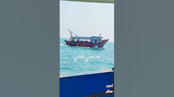 على فين ماتقوللي يا قطر رايح على فين محمد رشدي قطر الحياة من 