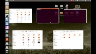 Ubuntu 11.04 in action (Unity + Compiz Plugin)