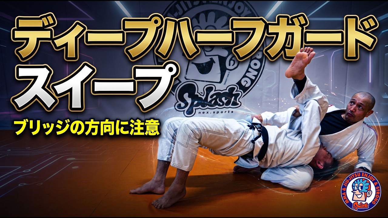 DVD 岩崎ディープハーフガード柔術DVD 4枚組