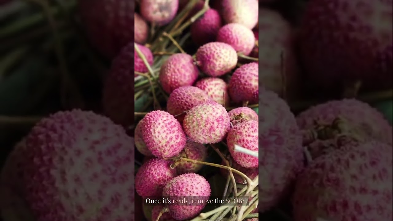 How to Make Kombucha at Home