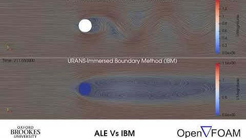 Arbitrary Lagrangian-Eulerian (ALE) method and the Immersed Boundary Method (IBM)-OpenFOam
