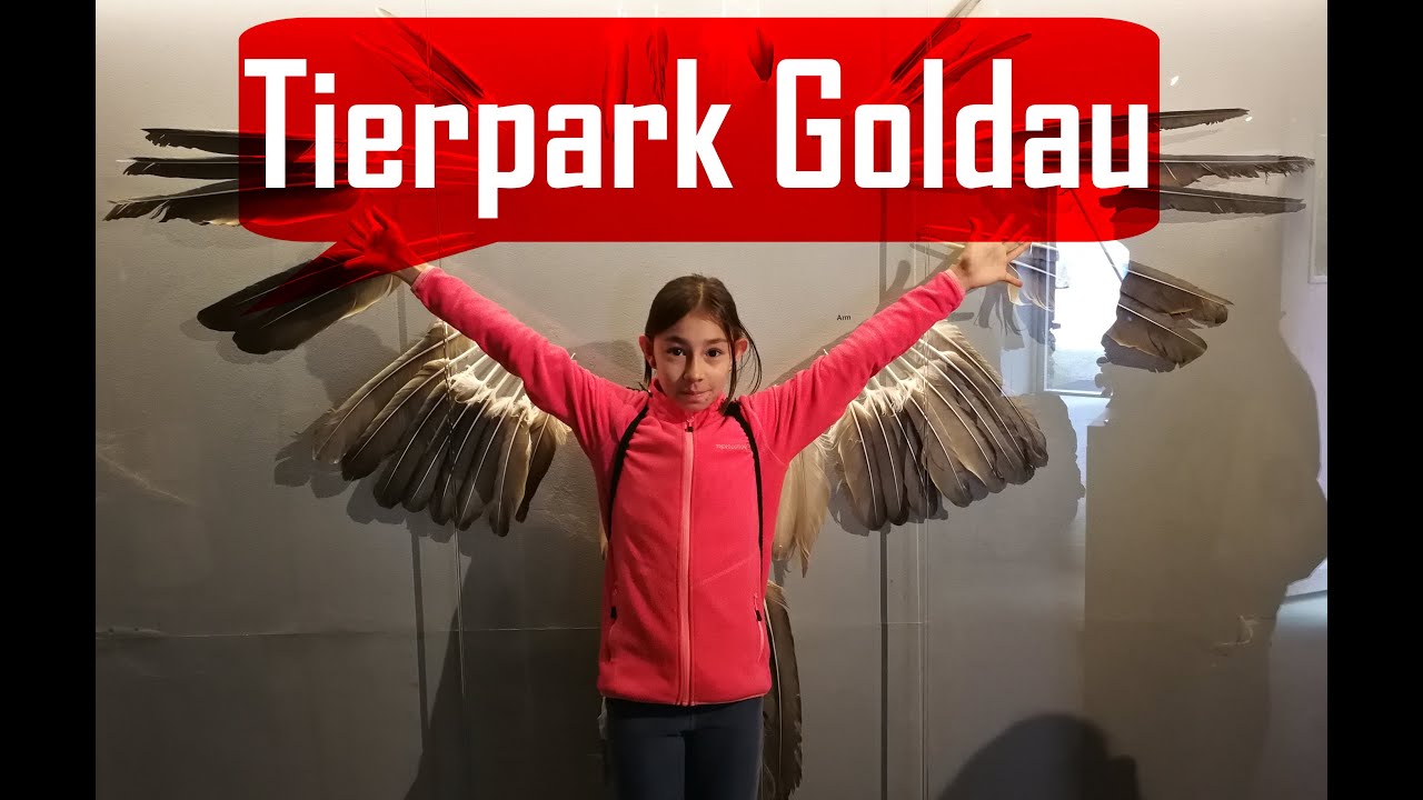 ➡️ Tierpark Goldau Animal Park.
