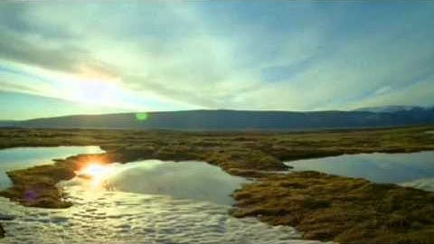 القرآن الكريم _ سورة رقم 2 _ سورة البقرة 6 / 8