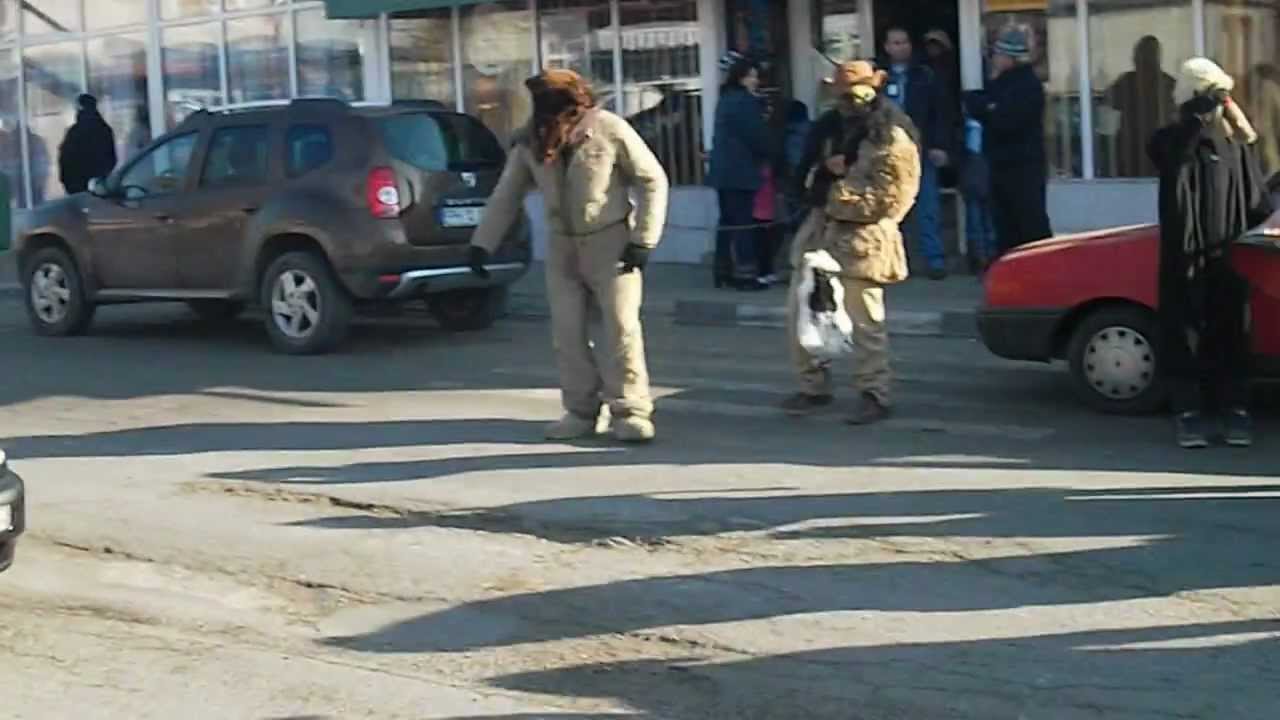 Plugul Valea Pietrii 2012-2013 partea 1 HD