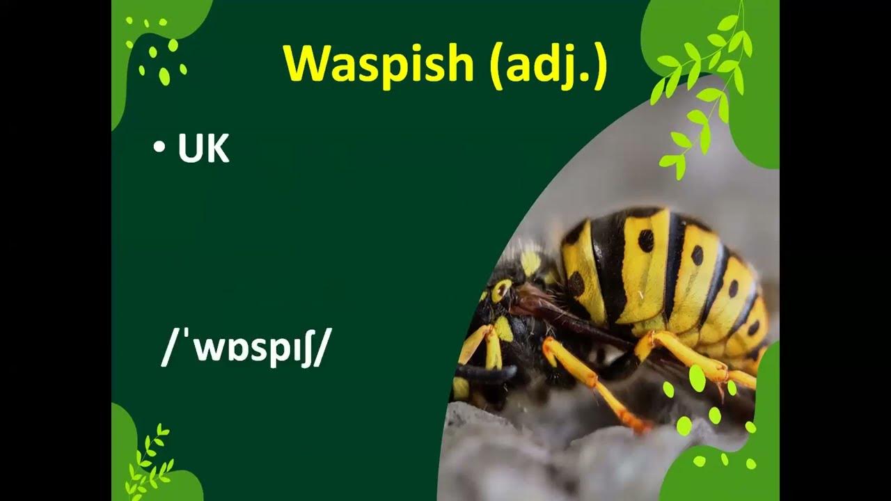 Waspish Animal Words UK And US Pronunciation Meaning In Urdu And mellifluous-musical-word-uk-and-us-pronunciation-meaning-in-urdu-and