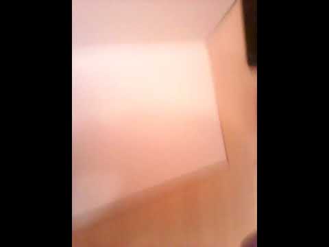 Энциклопедия с развивающими заданиями ПТИЦЫ