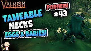 We discuss Tameable Necks Laying Eggs, Baby Necks & More! - Podheim Jiroc's Valheim Podcast #43