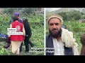 Afghanistan : un séisme dévastateur fait plus de 1000 morts