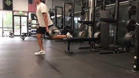 BB Bulgarian Hack Squat