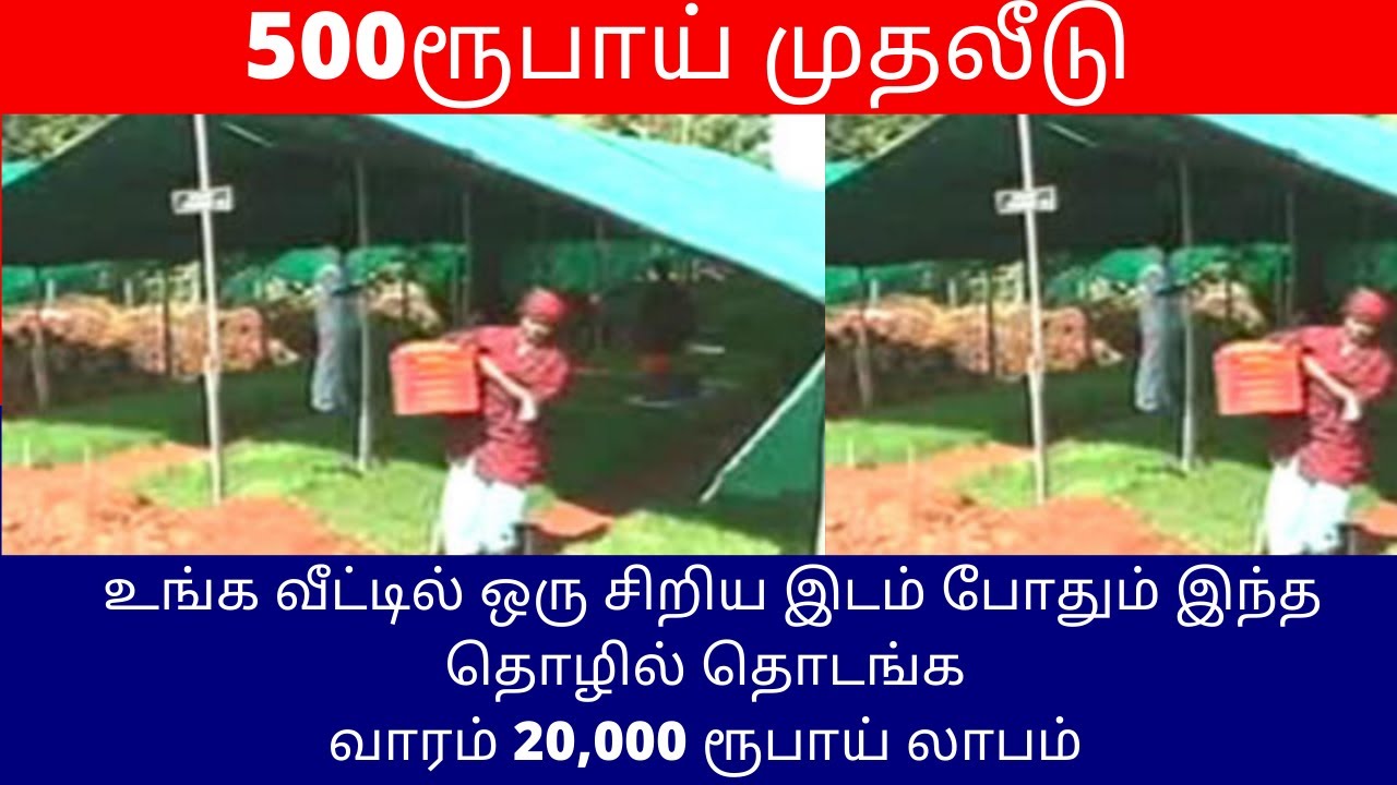 உங்க வீட்டில் ஒரு சிறிய இடம் போதும் இந்த தொழில் தொடங்க ​வாரம் 20,000 ரூ லாபம் ​500ரூ முதலீடு
