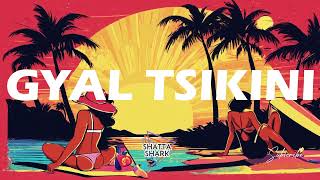 🐬"GYAL TSIKINI " DANCEHALL SHATTA Instrumental 2026 / Konshens x Tribal kush x Kybba Types