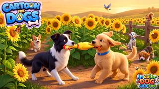 💕Happy Dog TV for the Weekend 🐶 Soothing Videos with Music and Nature Sound for Dogs to Enjoy ❤️