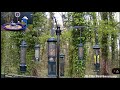 Live  pip daily bird chorus hummingbirds finches grosbeaks cardinals jays woodies noads