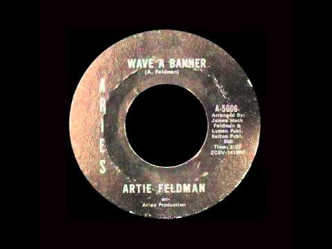 Artie Feldman - Wave A Banner