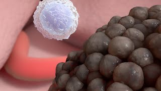 Ernesto Medina Hernández-9