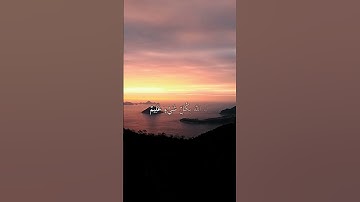 تلاوة هادئة للقارئ عبد الرحمن مسعد سورة العنكبوت الآية 62