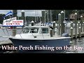 Perch Fishing How-Tos