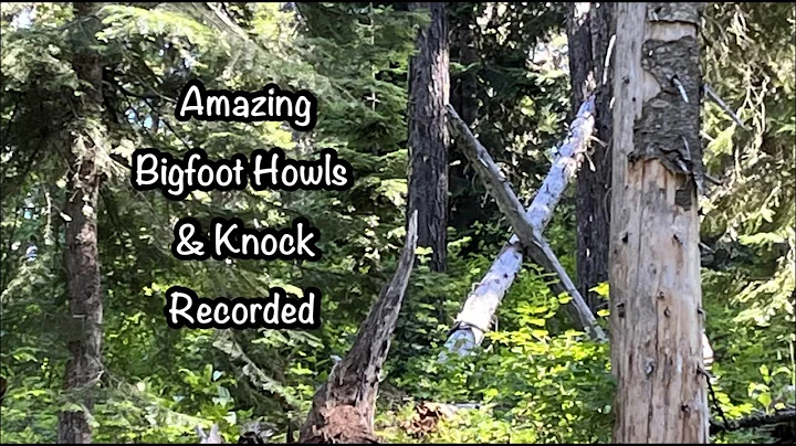 Amazing Bigfoot Howls & Knock Recorded