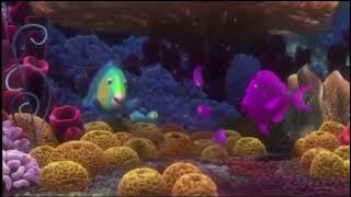 Sponge Beds (My Version)