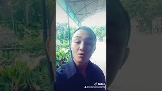 Download Lagu Jomblo itu mahal MP3