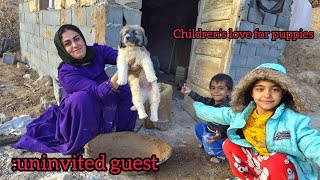 A Story of Humanity: A Homeless Mother Saves a Motherless Puppy 🐾🤍🐶