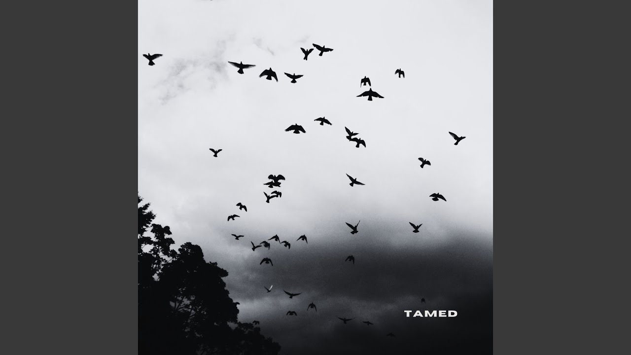 Watch Tamed on YouTube Watch Tamed on YouTube