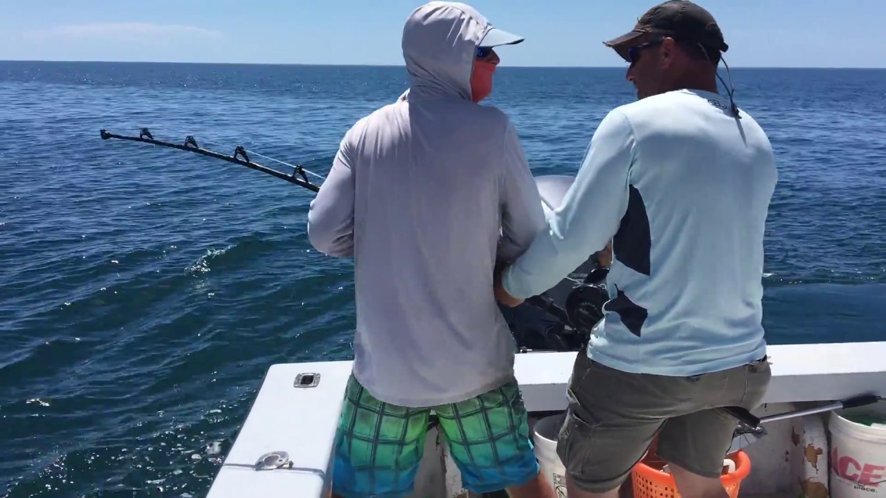 Goliath Grouper Fishing Summertime Florida