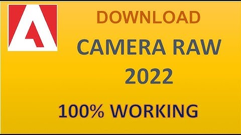 Download Camera Raw 13 14 Full Free | Tải Camera raw 13 Full Miễn Phí
