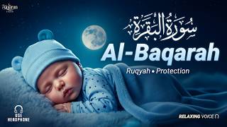 Surah Al-Baqarah (سورة البقرة) | Lofi Quran Peaceful Heart Recitation - By Alaa Aqel