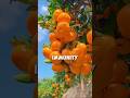 Eat This Daily… And Watch What Happens to Your Body