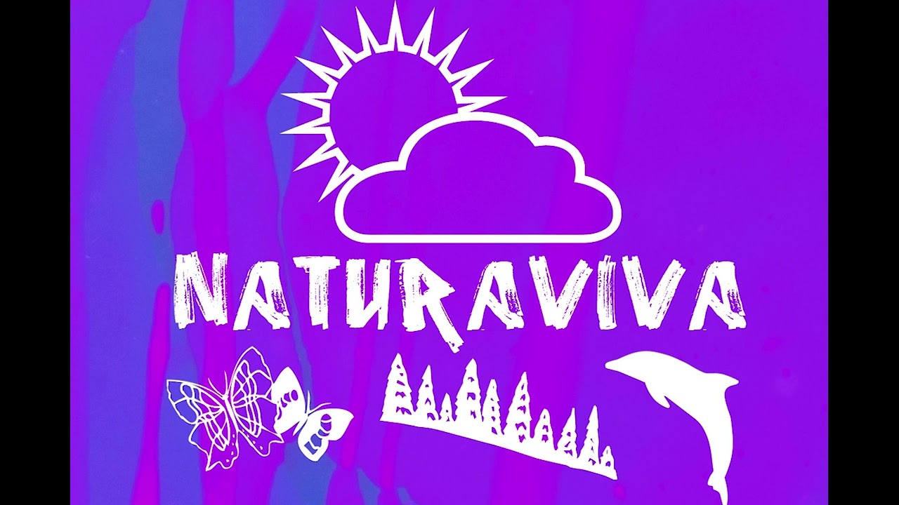 Watch Knorst, MeMachine, Vasconcellos - Micro Cuts (Natura Viva) on YouTube Watch Knorst, MeMachine, Vasconcellos - Micro Cuts (Natura Viva) on YouTube