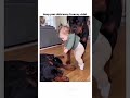 please subscribe🫂#funny #memes #usa #uk#comedy#usa #fypシ #dog #cute #shorts#subscribe #fyp #youtube