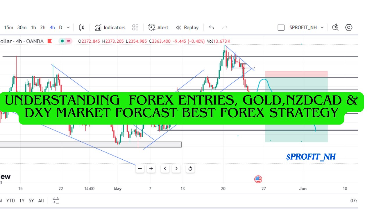 UNDERSTAND FOREX ENTRIES GOLD, DXY & NZDCAD FORECAST|Beginner's guide ...