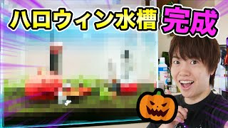 ハロウィン水槽を作ったぞー！【マスオのアクアリウム】