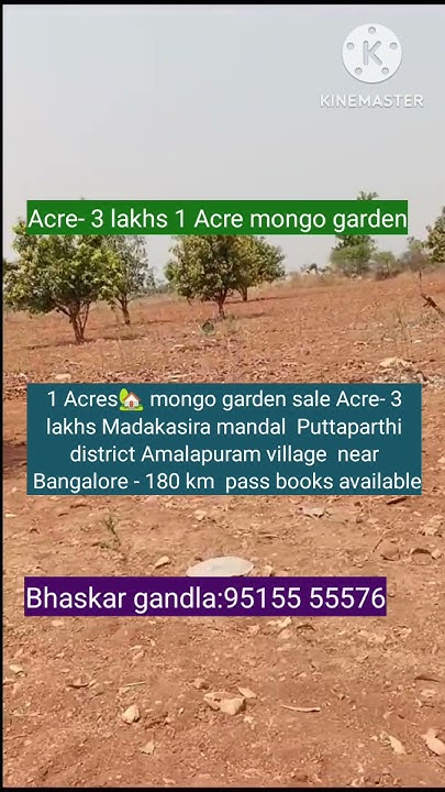1-acres-mongo-garden-sale-acre-3-lakhs-madakasira-mandal-puttaparthi